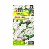 Семена Флокс Белое море (Семена Алтая)  0,1гр/10