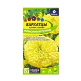 Семена Бархатцы Лимонный принц 0,2-0,3гр (Семена Алтая)
