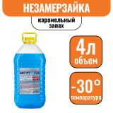 Теплоноситель-30  SNOWSTORM (4л)