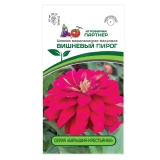 Семена Цинния Вишневый пирог F1 (Партнер)  5шт