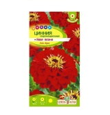 Семена Цинния Алое пламя (Семена Алтая)  0,3гр