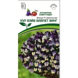 Семена Виола Кул Вэйв Вайлет Винг F1 ампельная  5шт (Партнер)