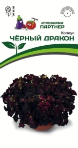 Семена Колеус шлемниковидный Черный Дракон 10шт (Партнер)