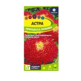 Семена Астра Принцесса Сильвия карминно-красная (Семена Алтая) 0,2гр