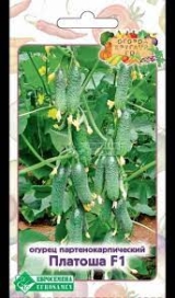Семена Огурец Платоша 5шт F1 