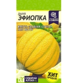 Семена Дыня Эфиопка (Семена Алтая) 1гр