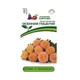 Семена Астра Осенний поцелуй китайская (Партнер) 5шт/10