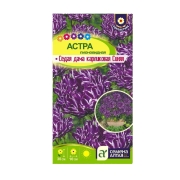 Семена Астра Седая Дама Синяя карликовая (Семена Алтая) 0,05-0,2гр