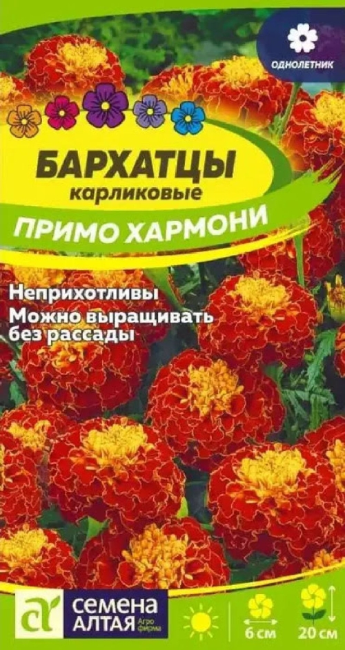 Семена Бархатцы Примо Хармони карликовые 0,1гр (Семена Алтая)