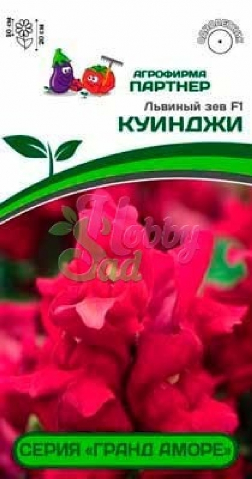 Семена Львиный зев Куинджи F1 10шт (Партнер)