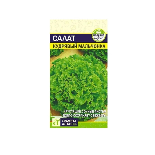 Семена Салат Кудрявый Мальчонка 0,5гр (Семена Алтая)